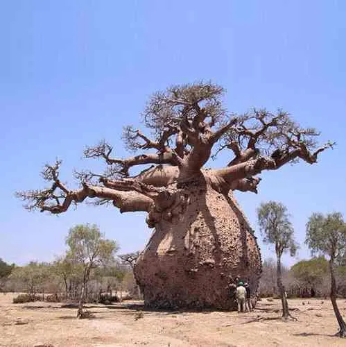 Problems are not stop signs, they are guidelines