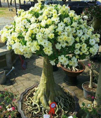 Creating is a privilege but it’s also a gift