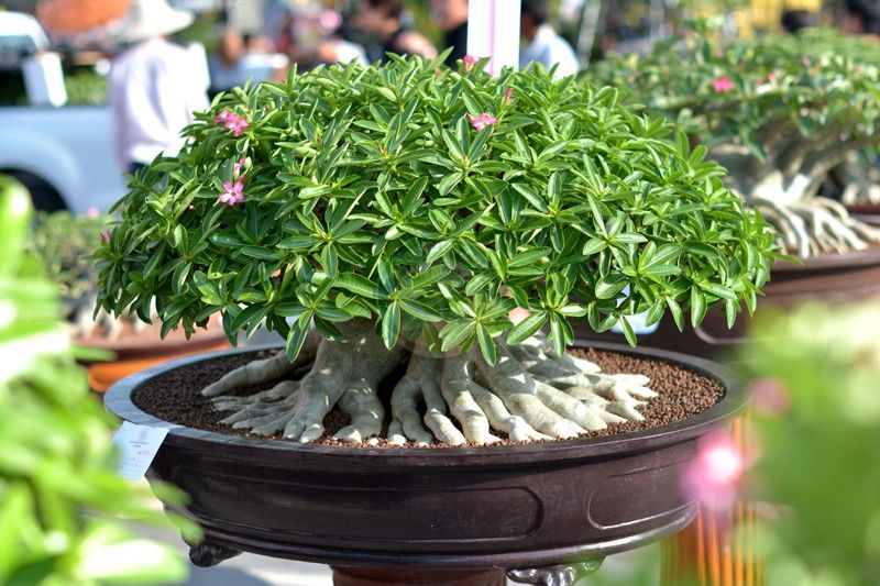 Now we’re getting somewhere