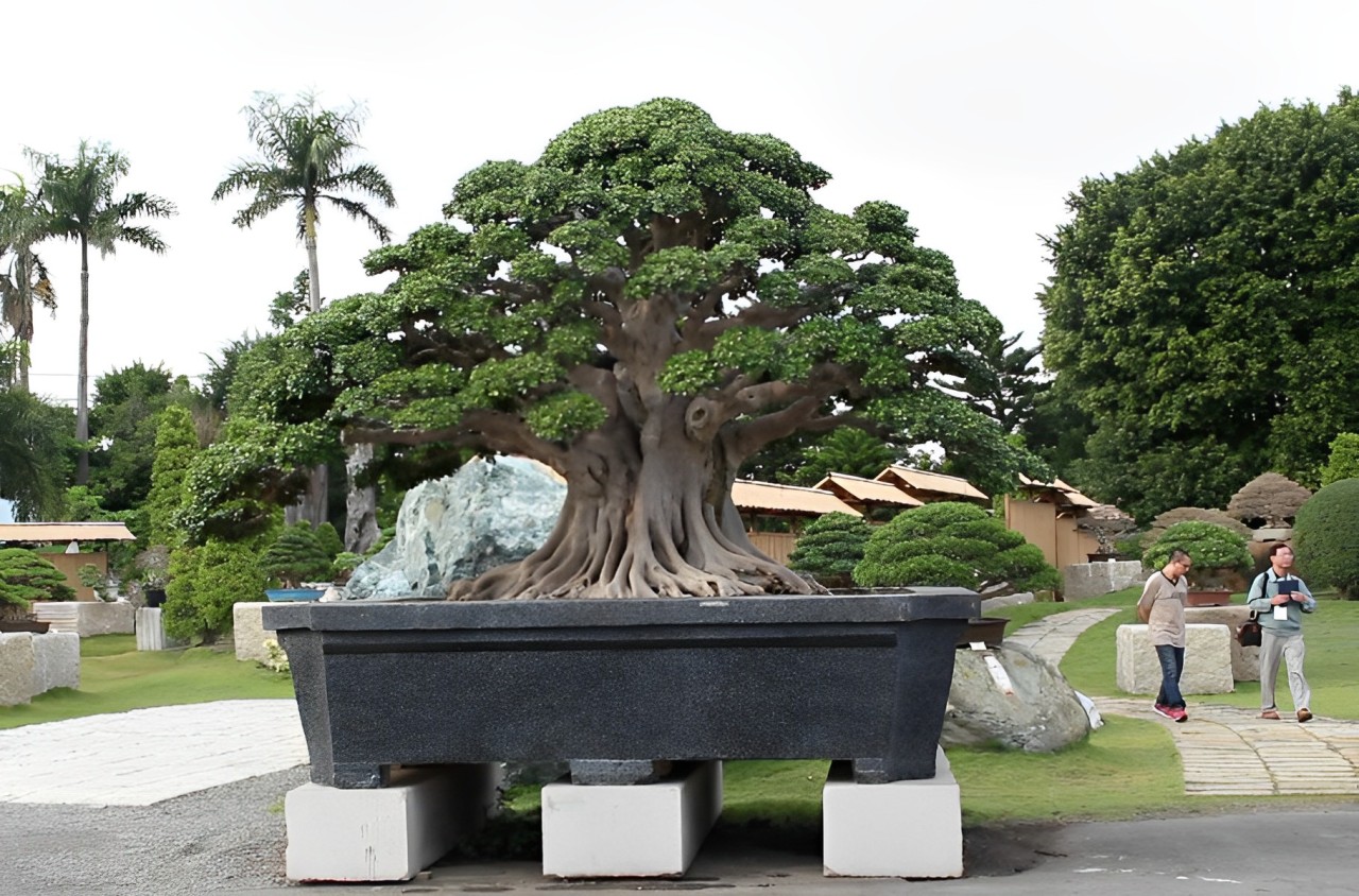 Every day, in every city and town across the country