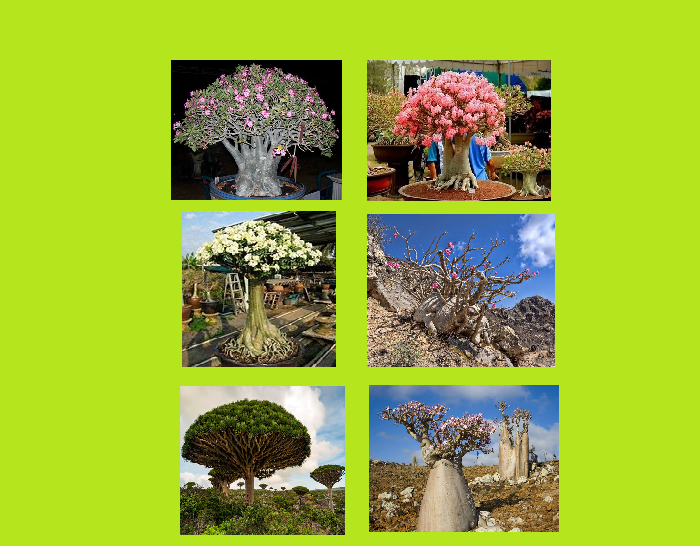 Every day, in every city and town across the country 