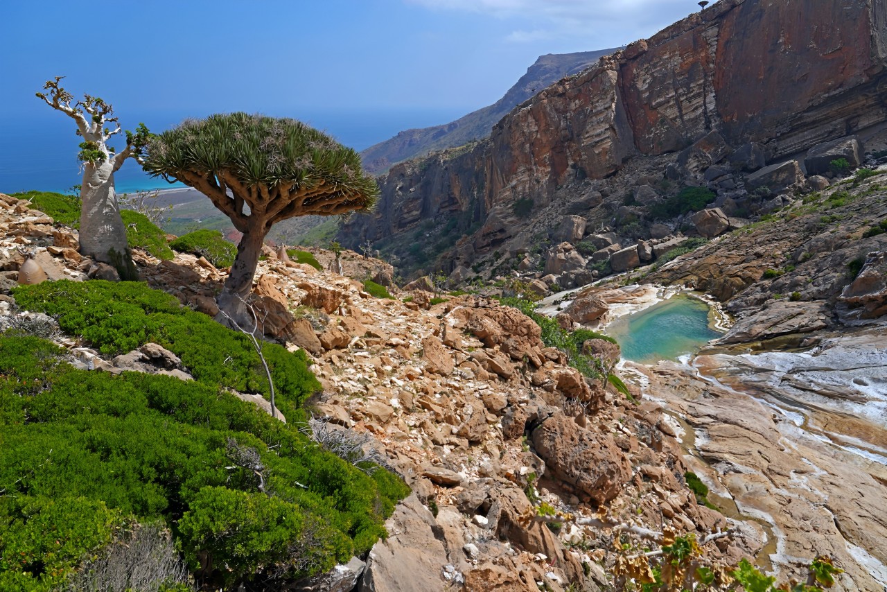 It’s a new era in design, there are no rules