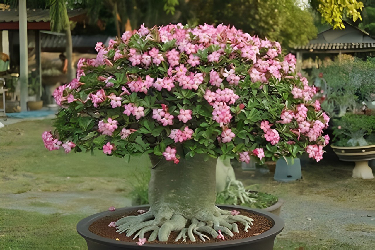 The trick to getting more done is to have the freedom to roam around